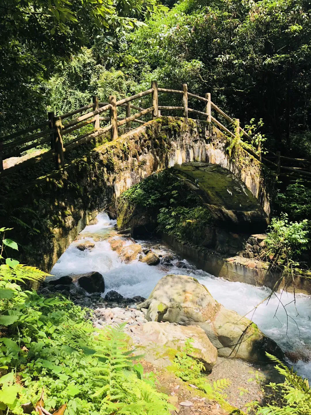 春雨直播app